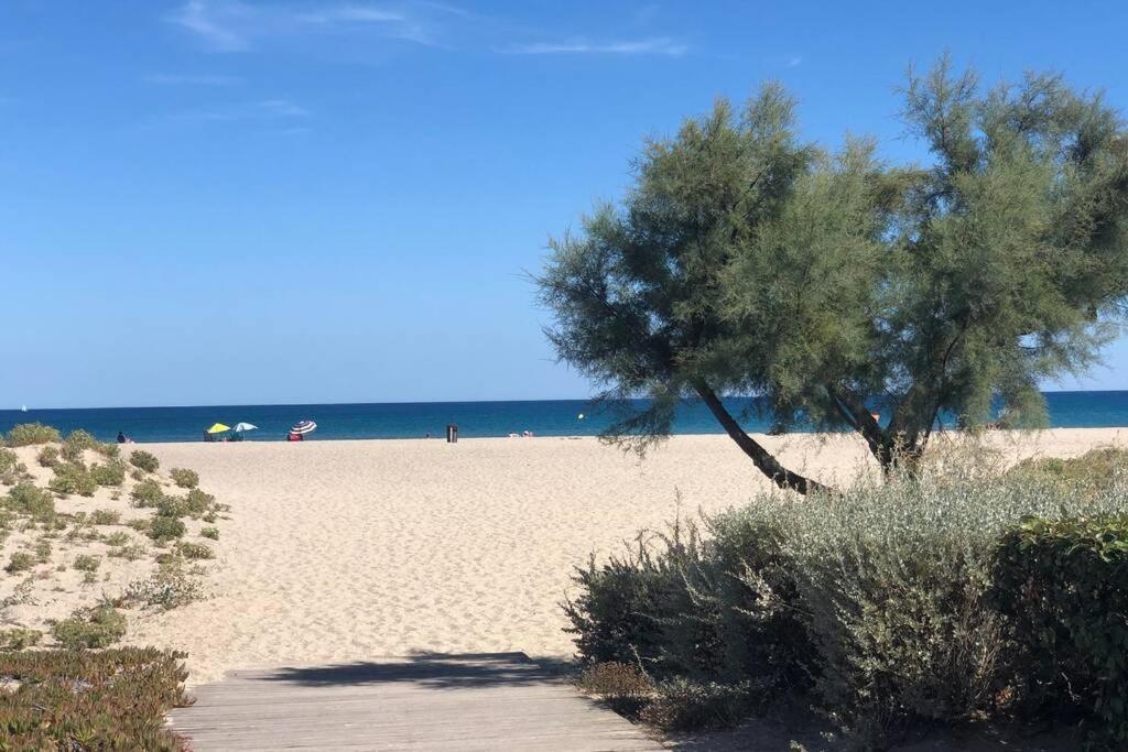 Barcaresa-La Perle Vue Mer Pieds Dans L'Eau Clim Wifi Leucate Εξωτερικό φωτογραφία